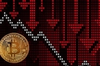 'Cá con', 'cá mập' đua nhau bắt đáy Bitcoin