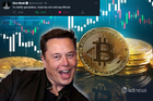 Hơn 19.000 Bitcoin âm thầm được bán trước khi bị Elon Musk “dìm giá”