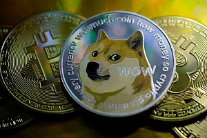 Những lý do tại sao người mới nên tránh xa Dogecoin