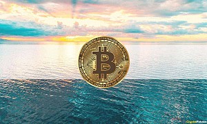 Sự thống trị của BTC tiếp tục giảm khi giá Bitcoin quanh quẩn ở vùng 55K USD