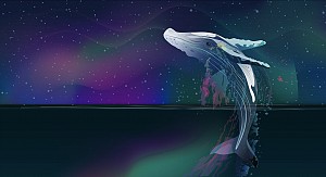 24 giờ biến động của thị trường Crypto, các cá voi đã di chuyển 6 tỷ USD BTC