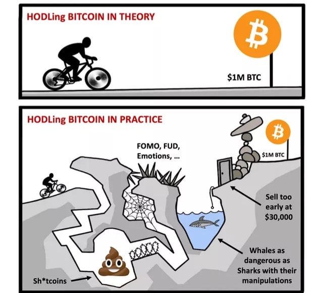 btc holder
